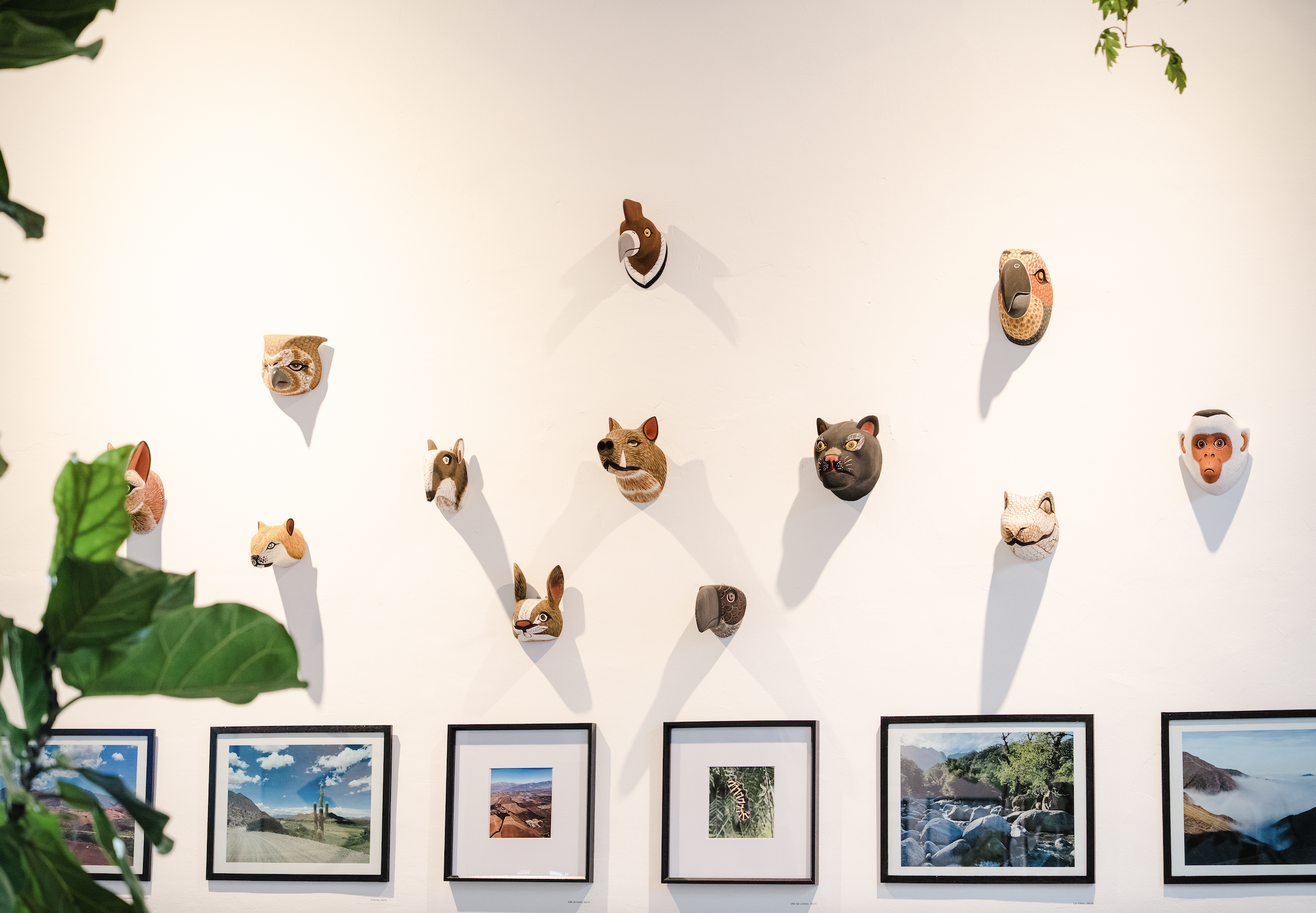 De Primera Empanada Interior Pared